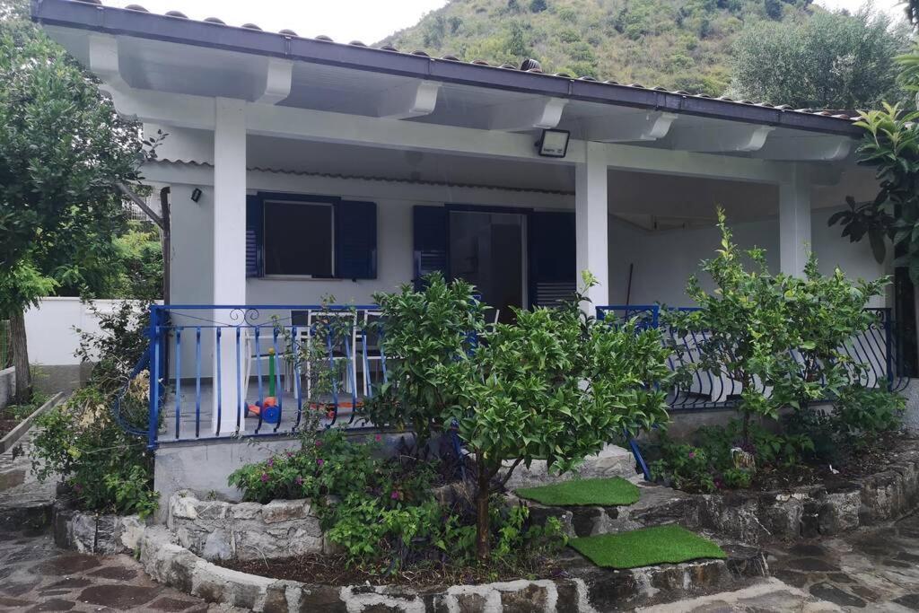 Villa Cilento Mare, Bellissima Con Ampio Giardino Capitello Exterior foto